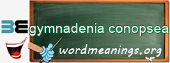 WordMeaning blackboard for gymnadenia conopsea